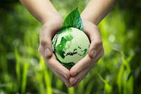 dia a dia mas eco.jpg